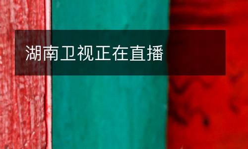 湖南衛(wèi)視正在直播